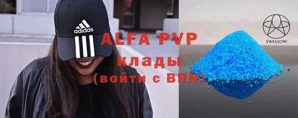 винт Гусь-Хрустальный