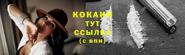 ПСИЛОЦИБИНОВЫЕ ГРИБЫ Гусиноозёрск