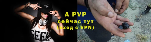 спайс Гусев