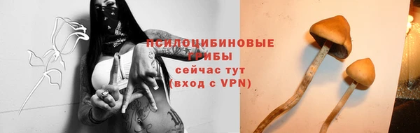 ПСИЛОЦИБИНОВЫЕ ГРИБЫ Гусиноозёрск