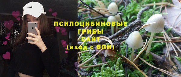 спайс Гусев