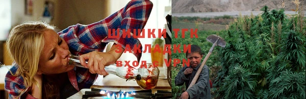 спайс Гусев
