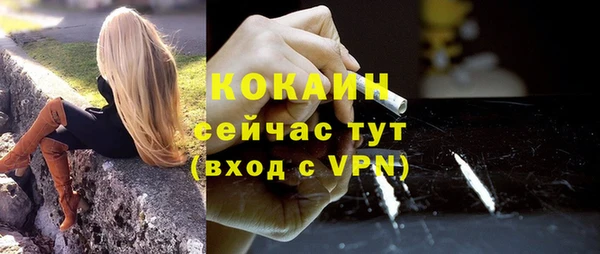 спайс Гусев