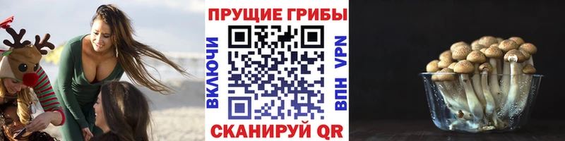 Купить  Углегорск  Псилоцибиновые грибы прущие грибы 